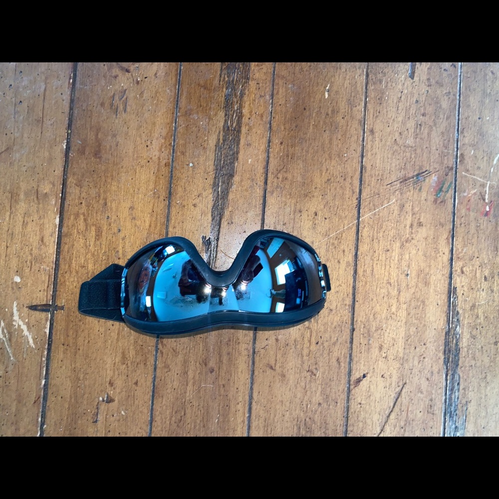 Dog goggles!!😍😎 - Picture 2 of 2